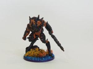 EM210595.jpg
