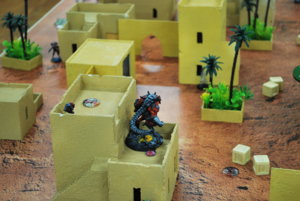 DSC_0046.JPG