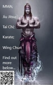 Martial Arts QR Advert - Failed.jpg