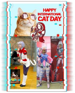 infinitythegame happy internationnal cat day.jpg