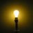 Lightbulb
