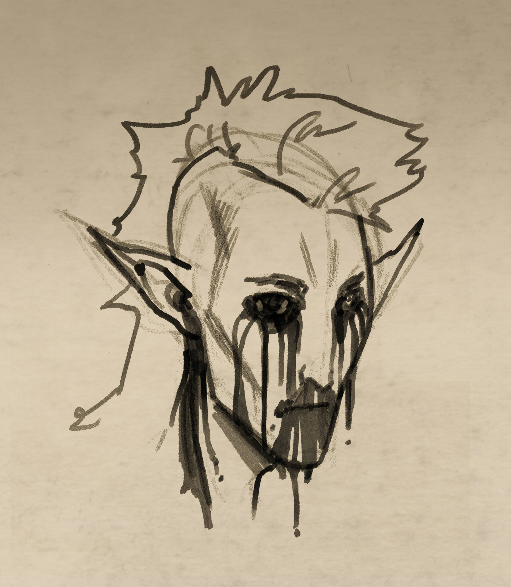 The Sÿenann Macula